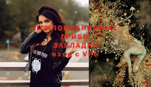 мяу мяу мука Куйбышев